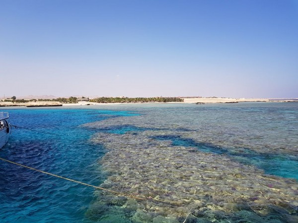 Mangrove Bay